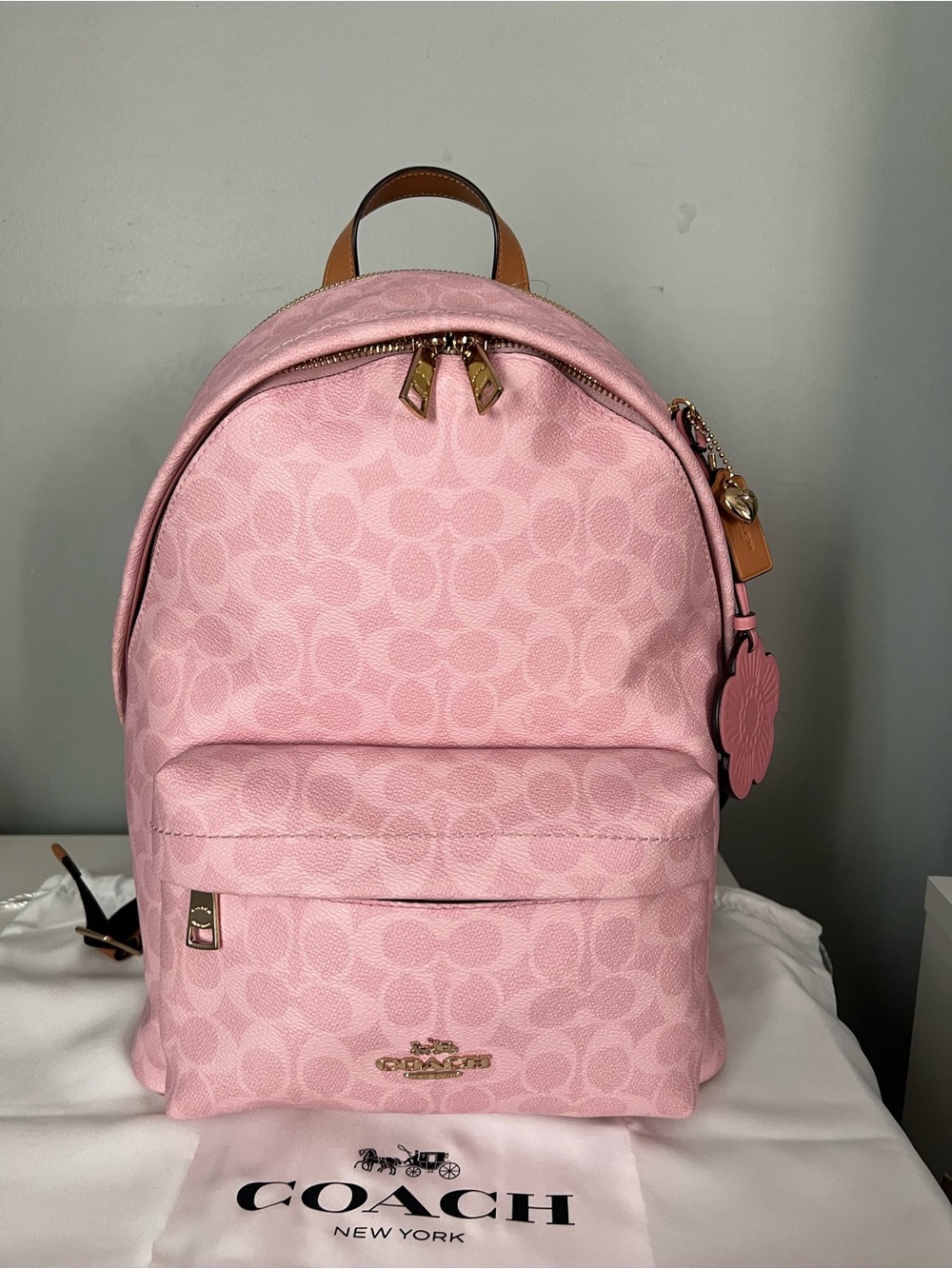 Coach Taylor Backpack In Powder Pink Color - Picture 1 of 13